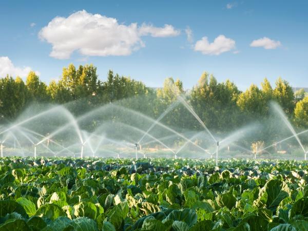 Michael's Irrigation
