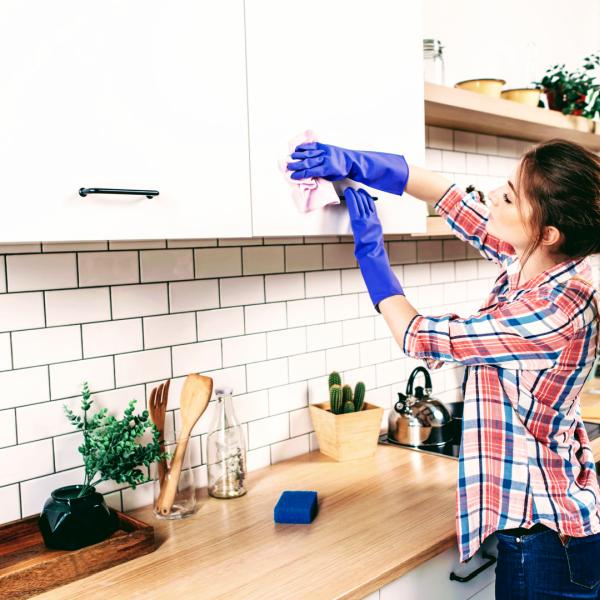 Onedesk Cleaning Minneapolis