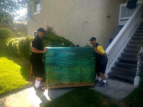 Buzzing Along Movers