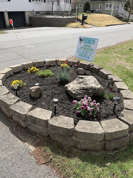 Pedro's Phenomenal Landscape & Masonry