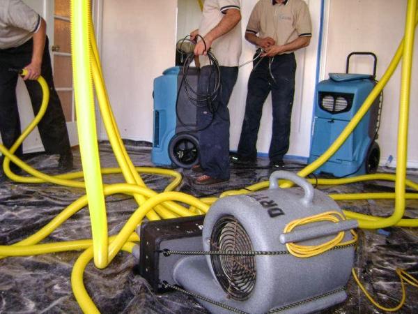 Coastal Pride Carpet and Window Care