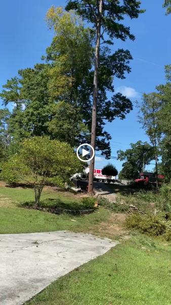 Gray Brothers Tree Service
