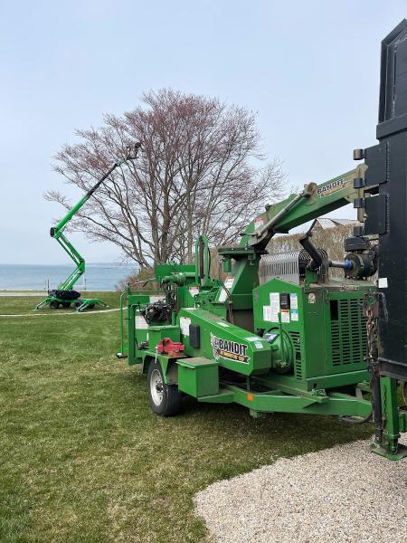 Yankee Tree LLC