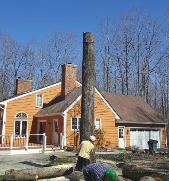 JT Tree & Landscaping Inc.