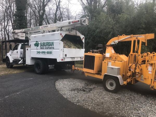 Suburban Tree Experts