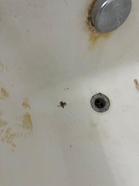 Sure Fire Bed Bug Heaters