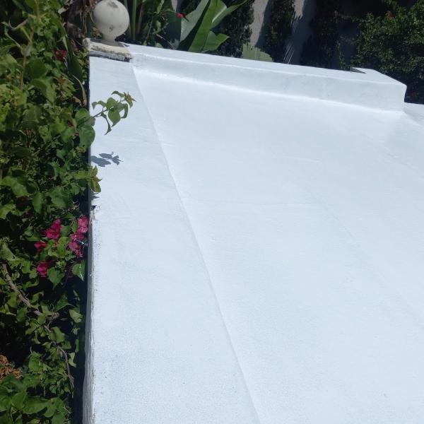 Dan the Shingle Man Roofing
