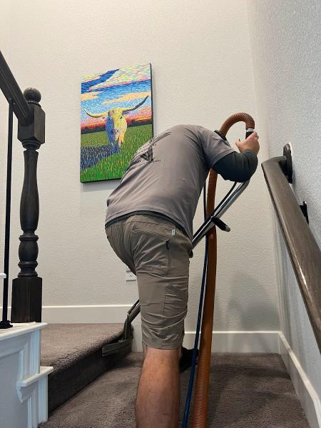 All Star Carpet Cleaning and Dye