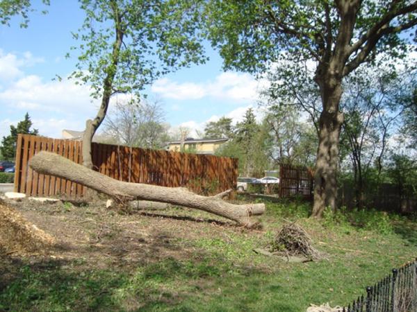 Thoma's Tree Service