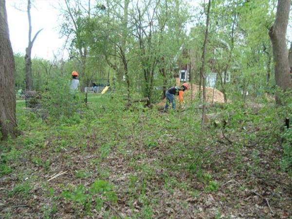 Thoma's Tree Service