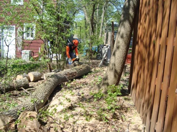 Thoma's Tree Service