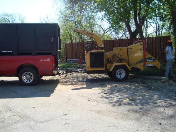 Thoma's Tree Service