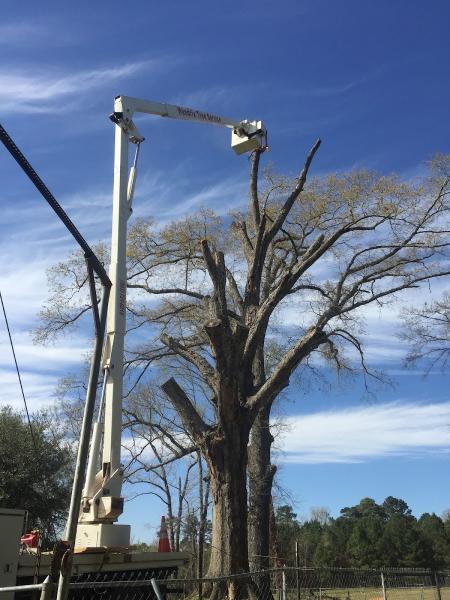 Hendrix Tree Service LLC