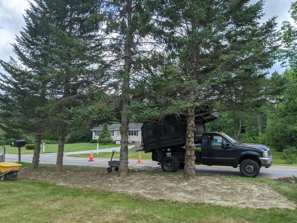 Easy Tree Landscaping