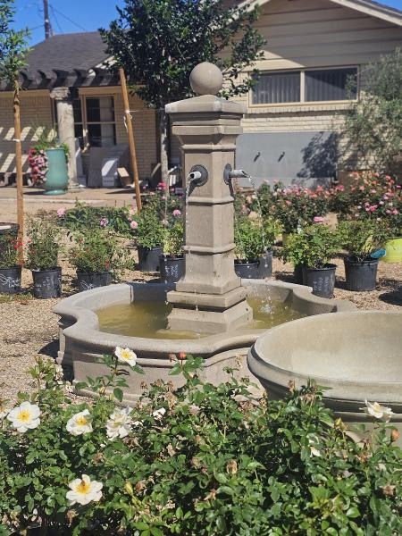 Bay Area Design & Landscape / Bay Area Tree Experts