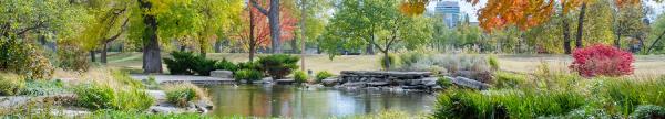Longhofer Lawn & Tree Care
