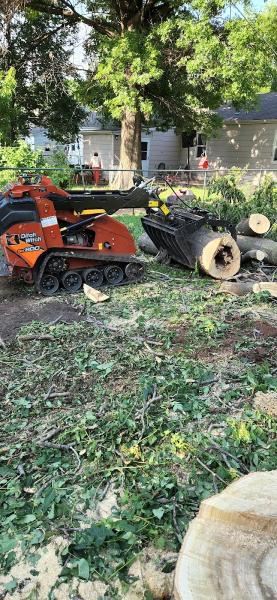 B&B Tree Company