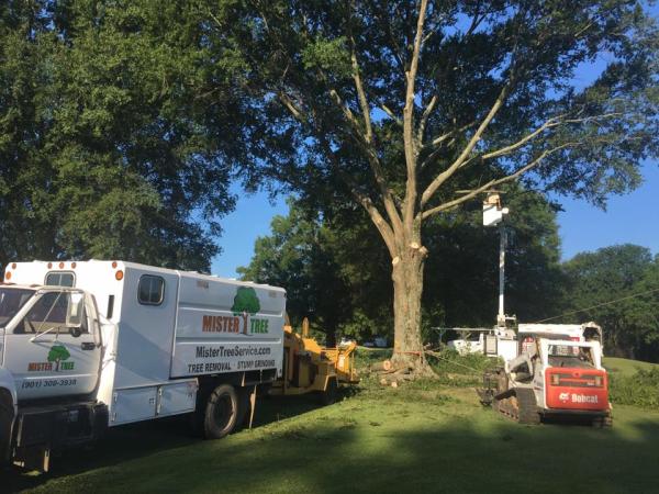 Mister Tree Service