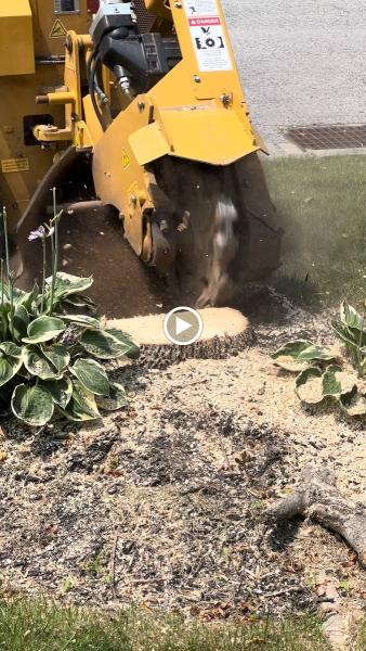 R & H Tree Service