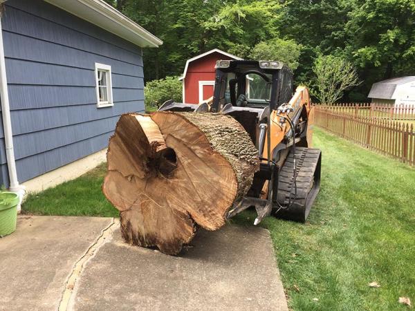 Denton Complete Tree Removal