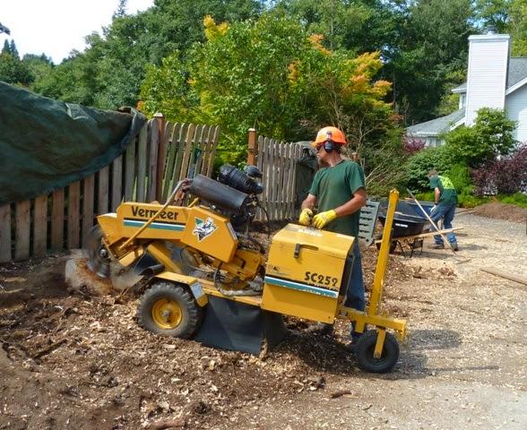 Ascending Tree Service 1583 E Badger Rd