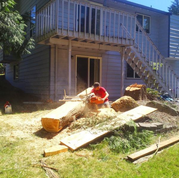 Ascending Tree Service 1583 E Badger Rd