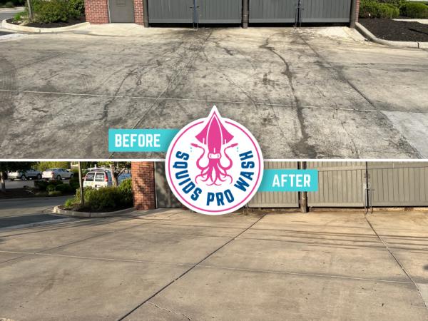 Squids Pro Wash