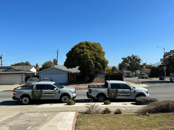 Vanguard Termite Control Inc