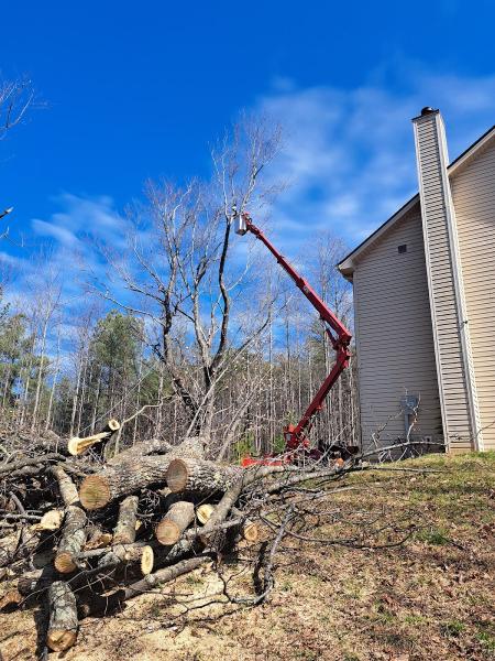 Jay's Tree Service