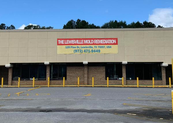 The Lewisville Mold Remediation