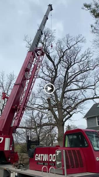 Sawvell Tree Service