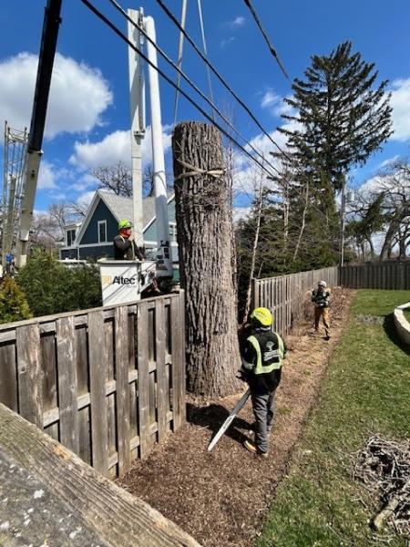 Sawvell Tree Service