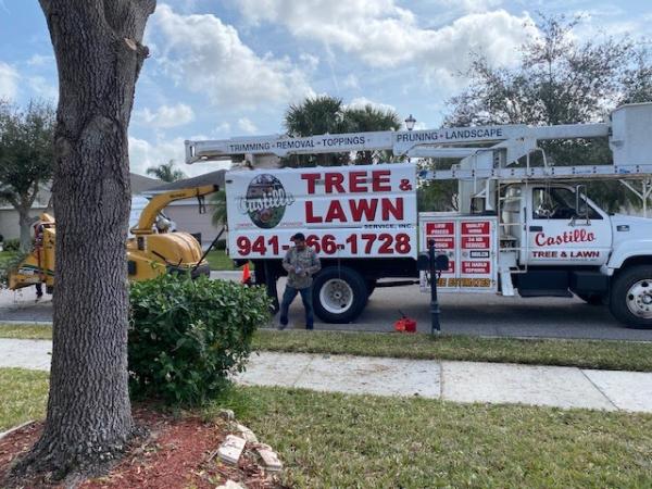 Castillo Tree & Lawn Service Inc