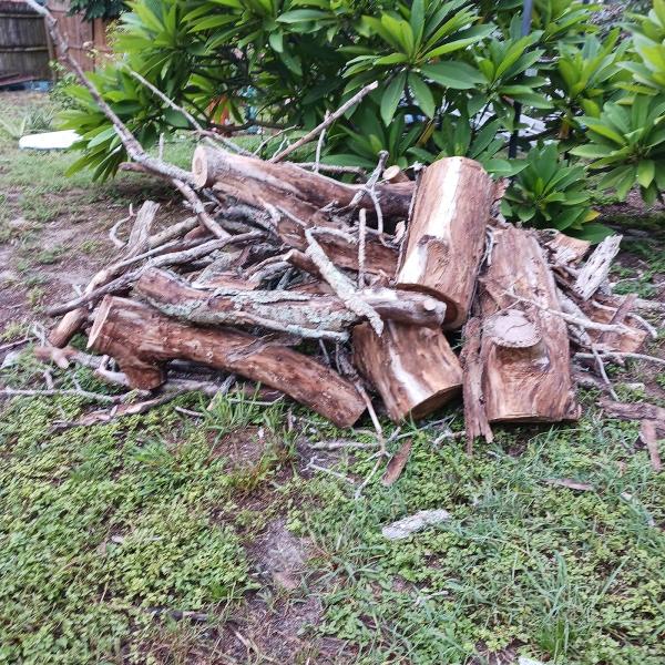 Castillo Tree & Lawn Service Inc