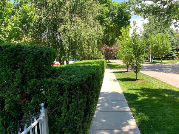 Master Grassmen Lawn Maintenance and Snow Removal