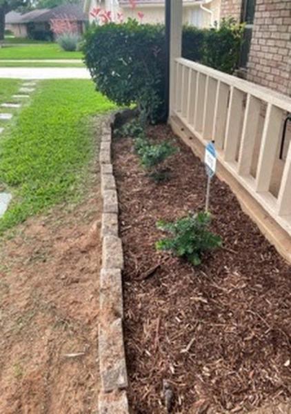 Mogo Landscaping