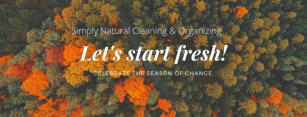 Simply Natural Cleaning & Organizing