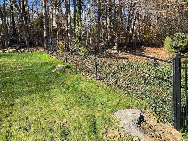 Anchor-One Fence & Landscape