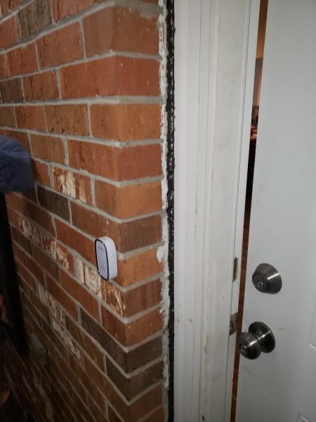 Absolute Exterminating Services