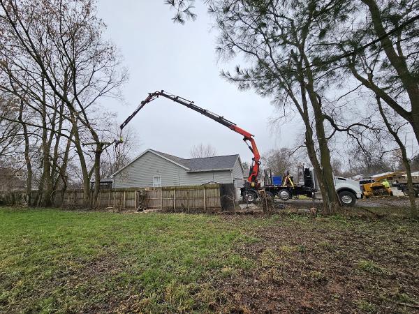 Arb Tech Tree Services