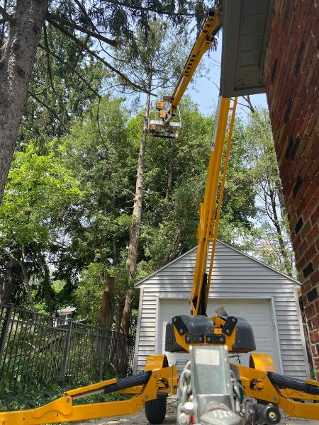 Top Down Tree Service