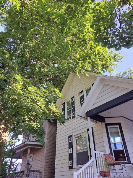 Top Down Tree Service