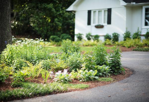 Specialist Landscaping