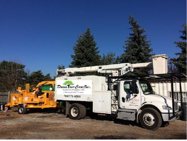 Davis Tree Care & Landscaping