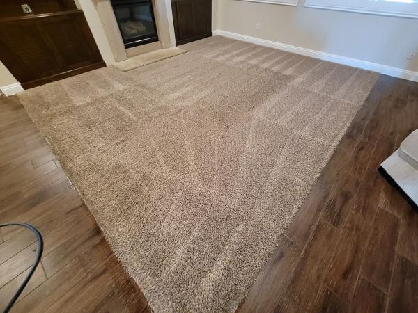 Century Carpet & Upholstery Care