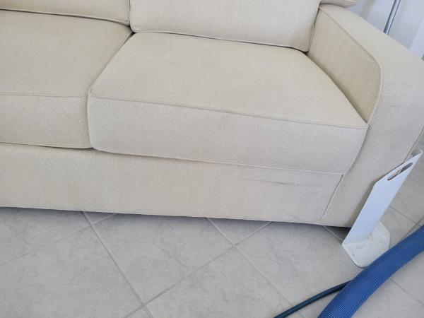 Century Carpet & Upholstery Care