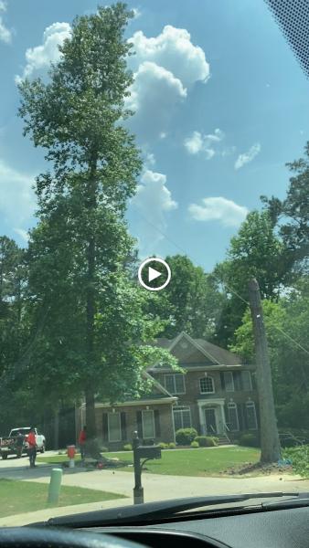 Jones Tree Service Inc.