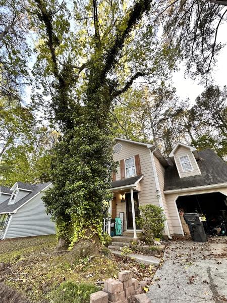 Jones Tree Service Inc.