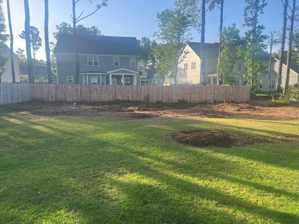 Arborcare Tree Management