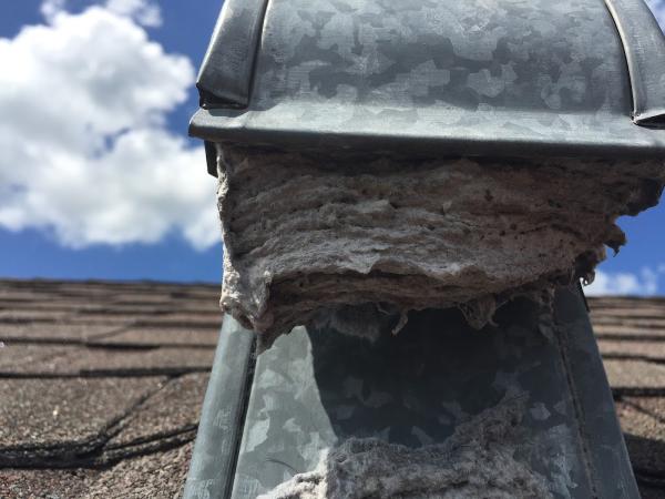 Vent Doctor